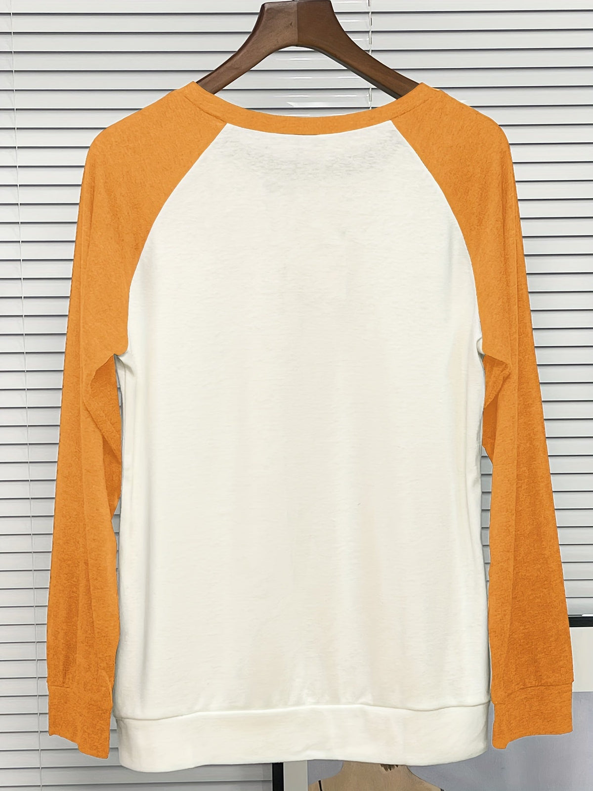 Color Block Long Sleeve Shirt, Oversized Crew Neck Top