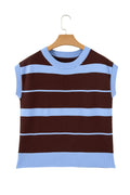 Sky Blue Stripe Striped Short Sleeve Round Neck Casual Knit Top