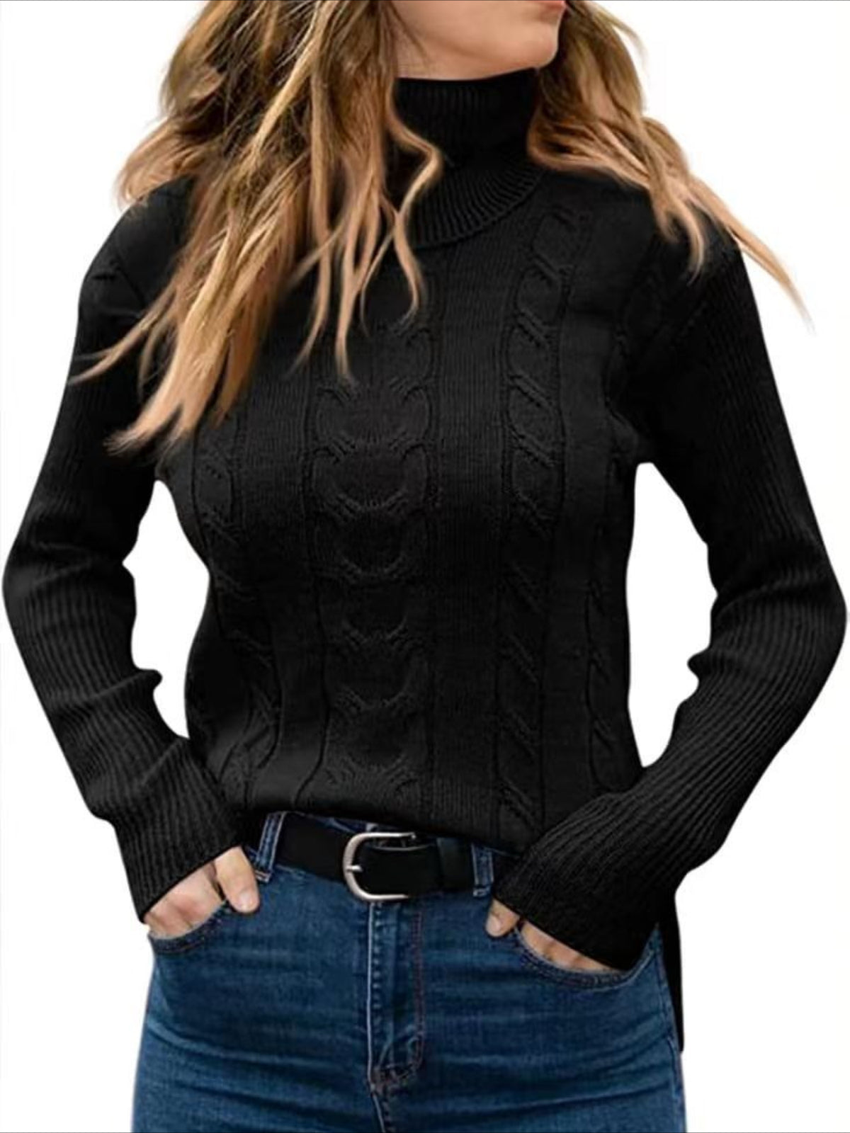 Turtleneck Casual Regular Fit Sweater