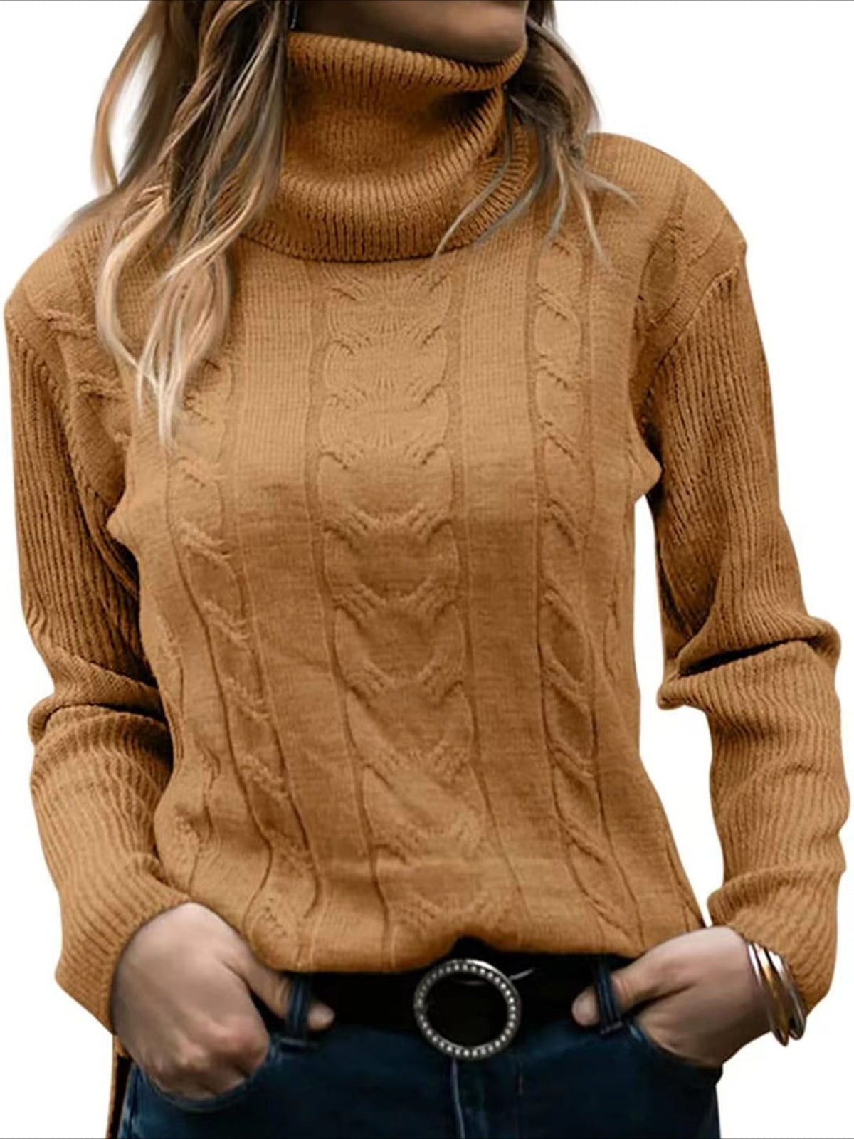 Turtleneck Casual Regular Fit Sweater