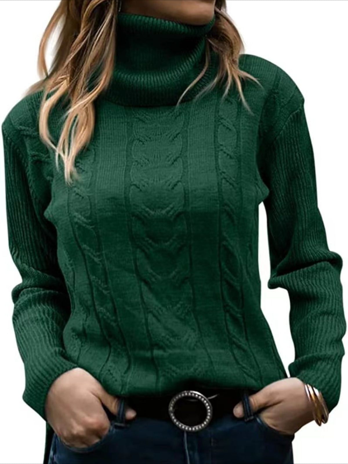 Turtleneck Casual Regular Fit Sweater