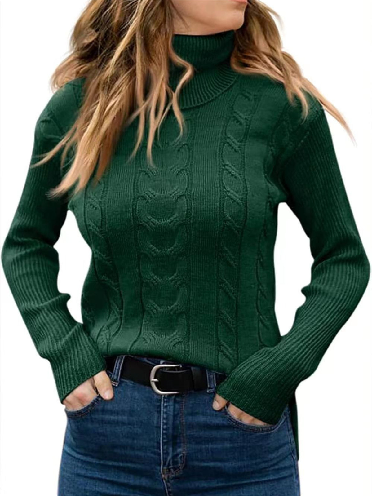 Turtleneck Casual Regular Fit Sweater