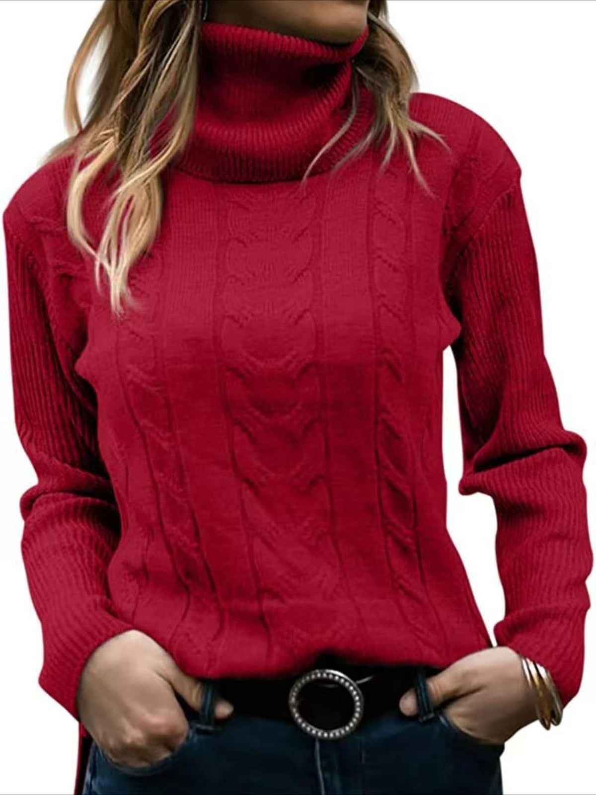 Turtleneck Casual Regular Fit Sweater