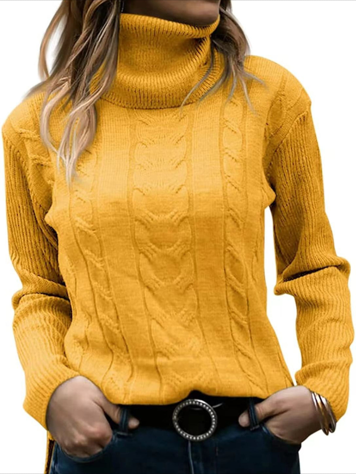 Turtleneck Casual Regular Fit Sweater