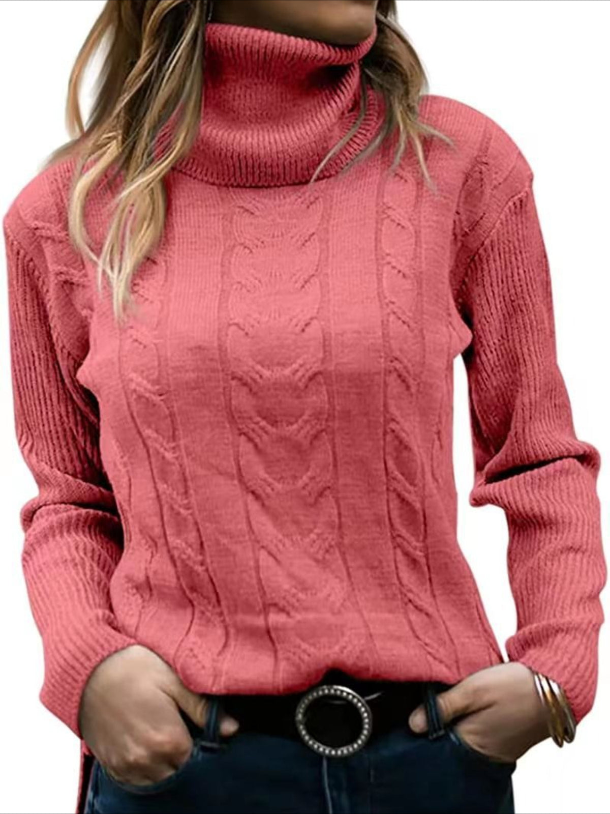 Turtleneck Casual Regular Fit Sweater