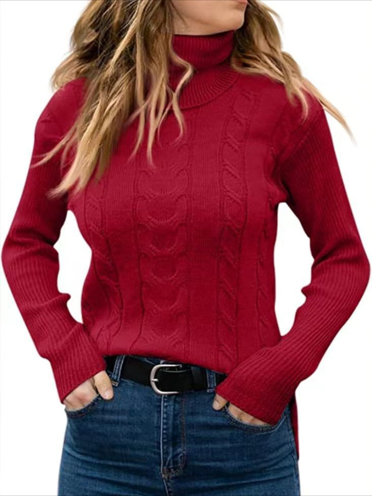 Turtleneck Casual Regular Fit Sweater
