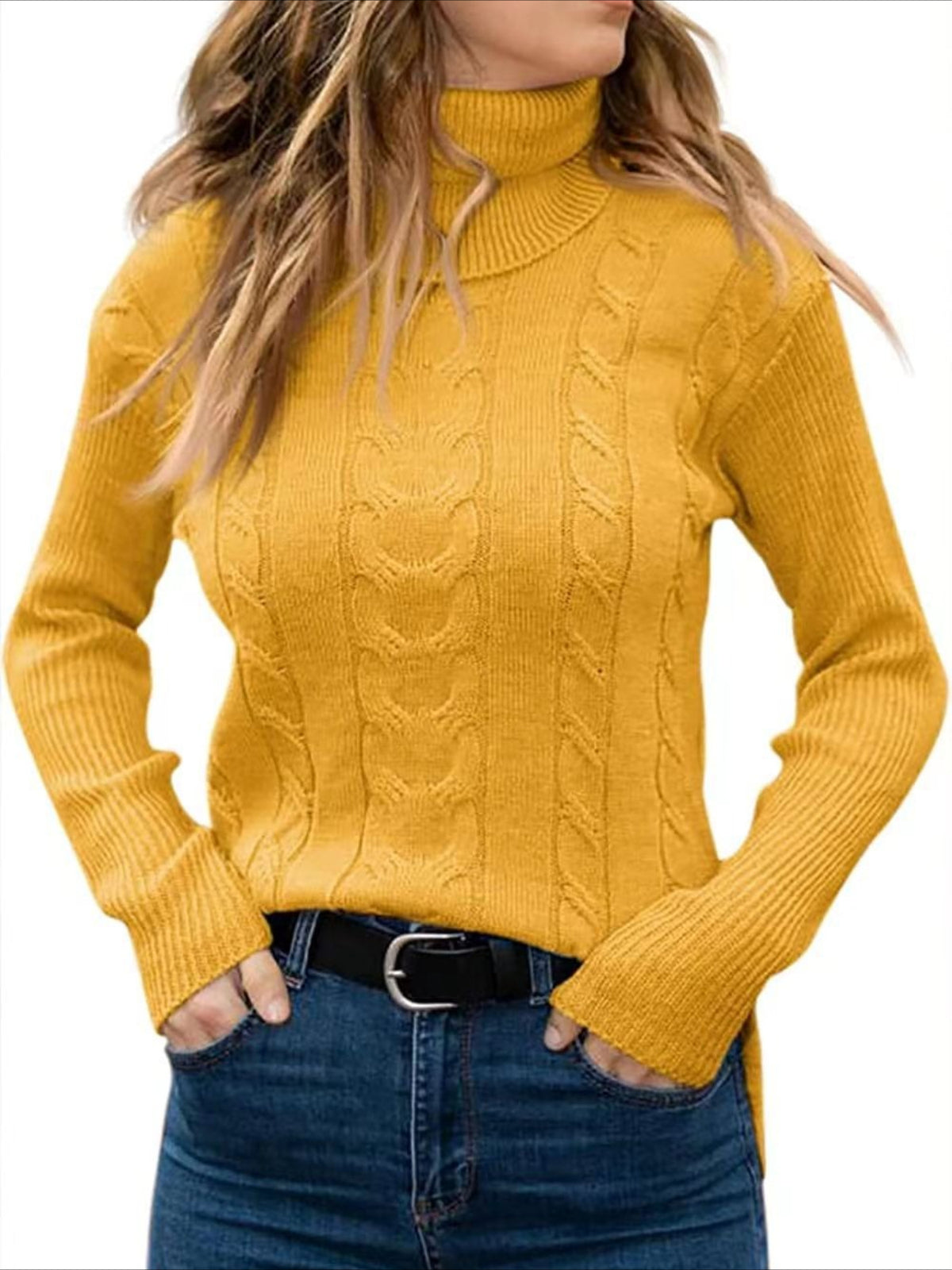 Turtleneck Casual Regular Fit Sweater