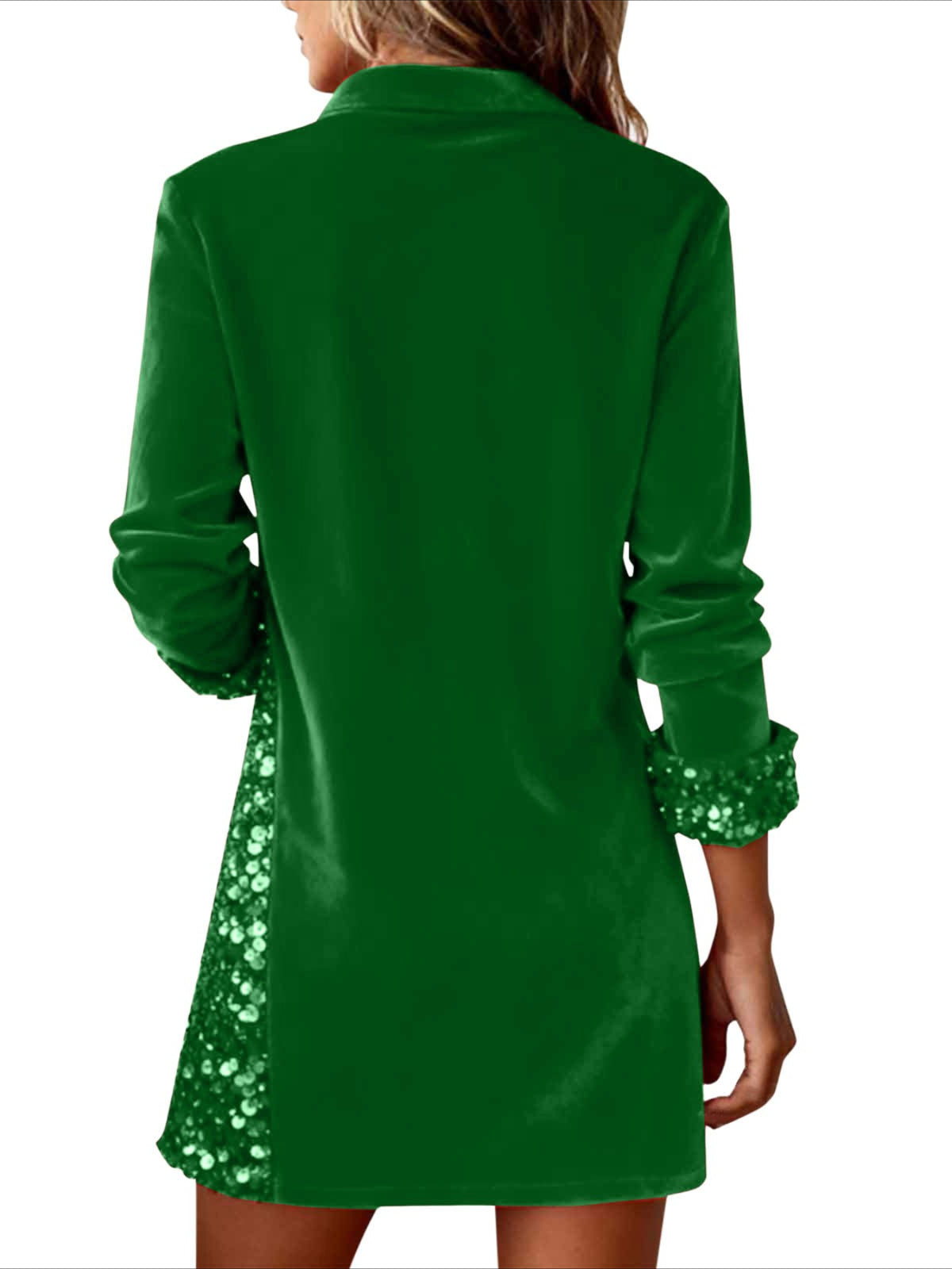 Plain Long Sleeve Shawl Collar Split Joint Dress Holiday Vintage Fit & Flare A-Line Spring/Fall Mini Dress