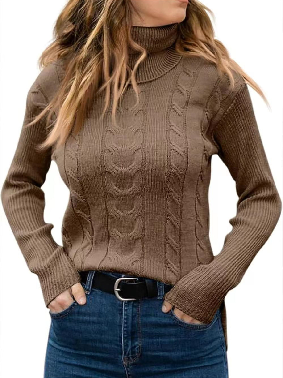 Turtleneck Casual Regular Fit Sweater