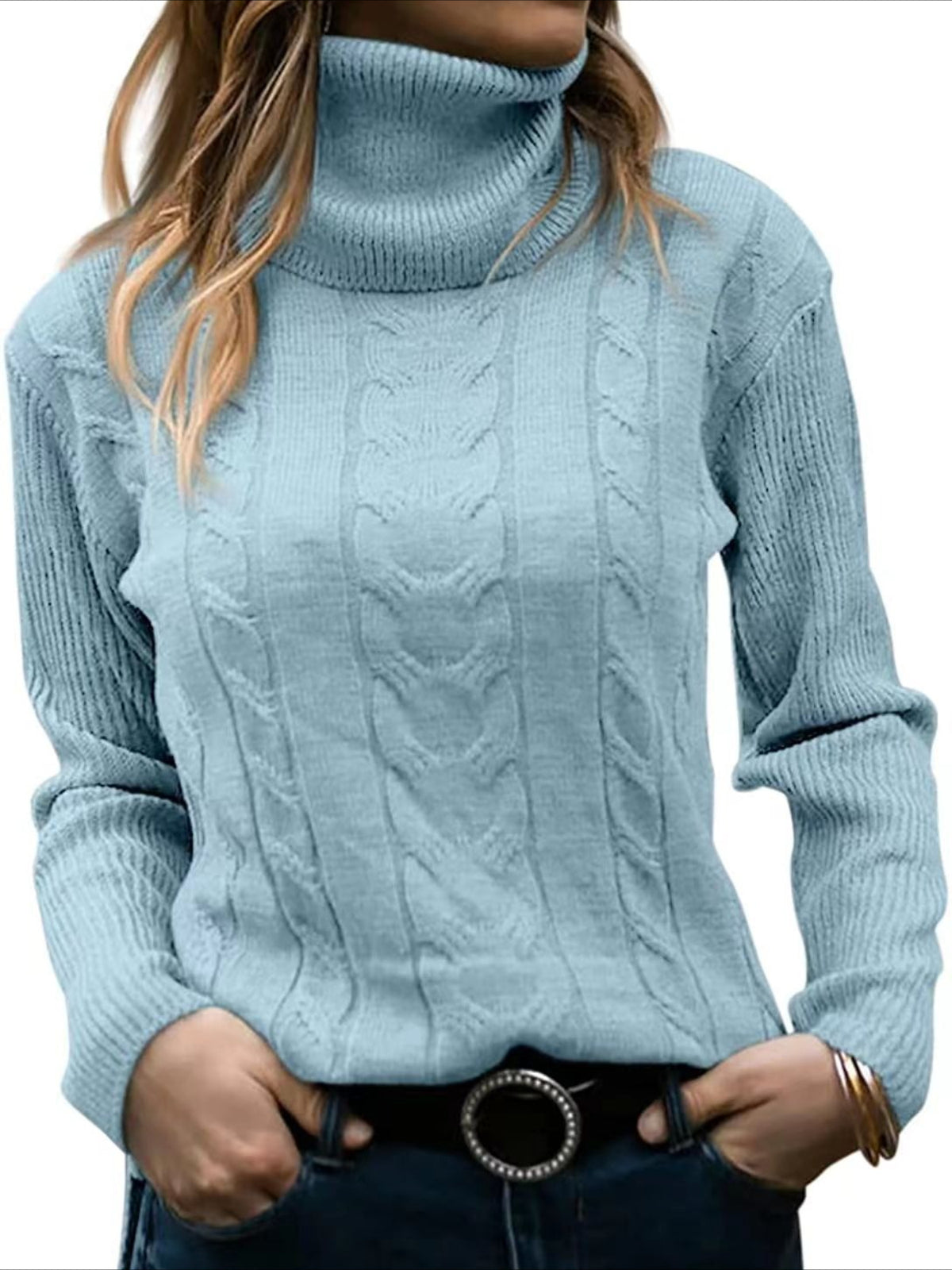 Turtleneck Casual Regular Fit Sweater