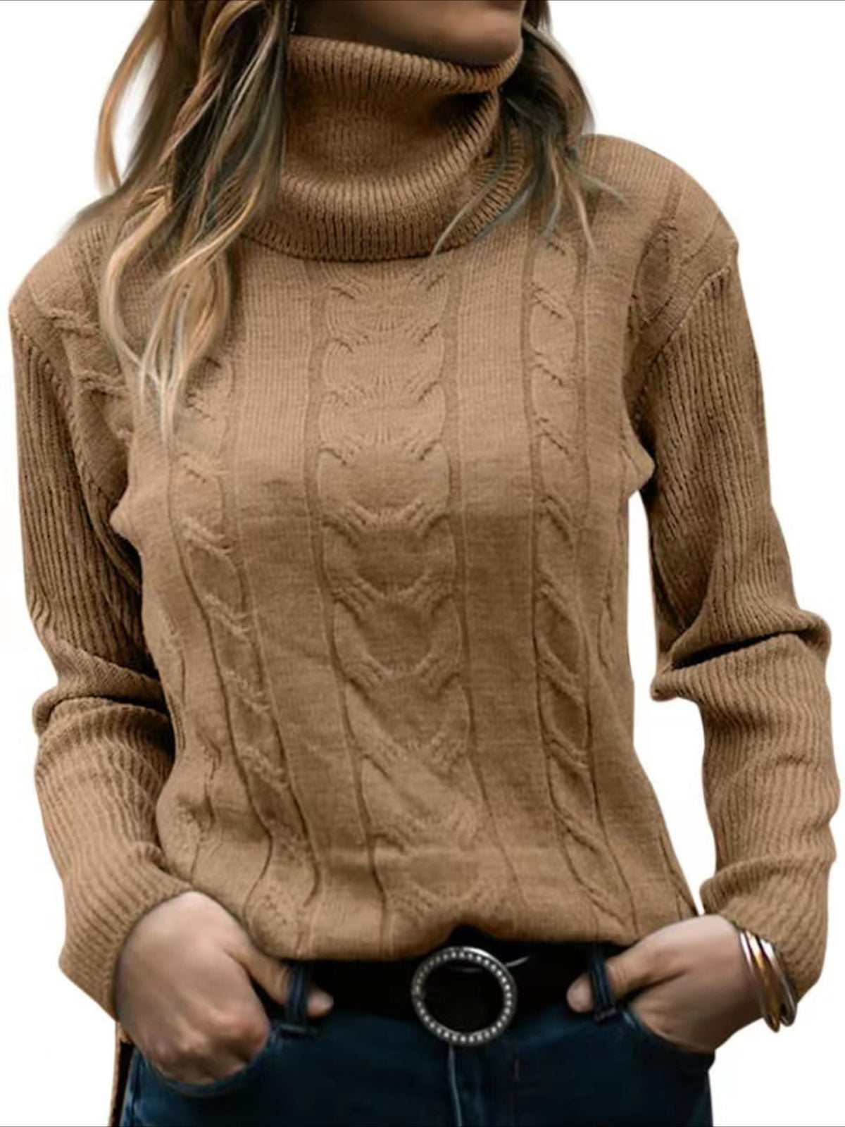 Turtleneck Casual Regular Fit Sweater