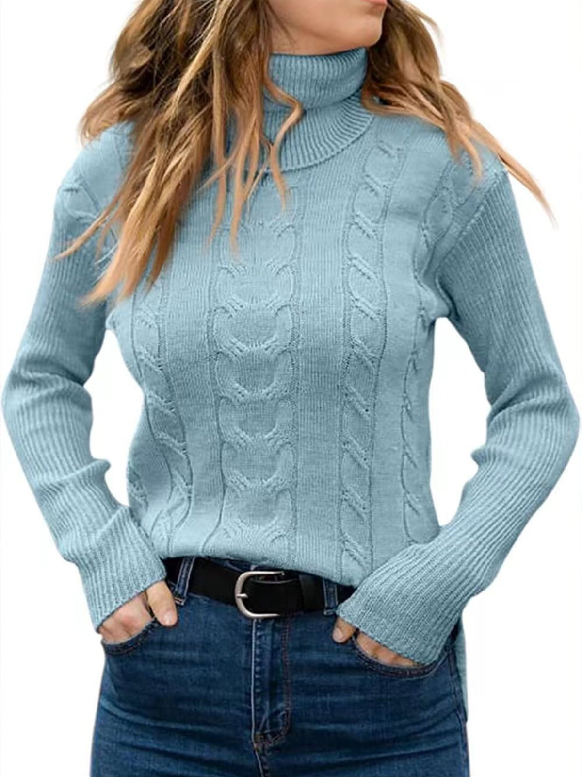 Turtleneck Casual Regular Fit Sweater