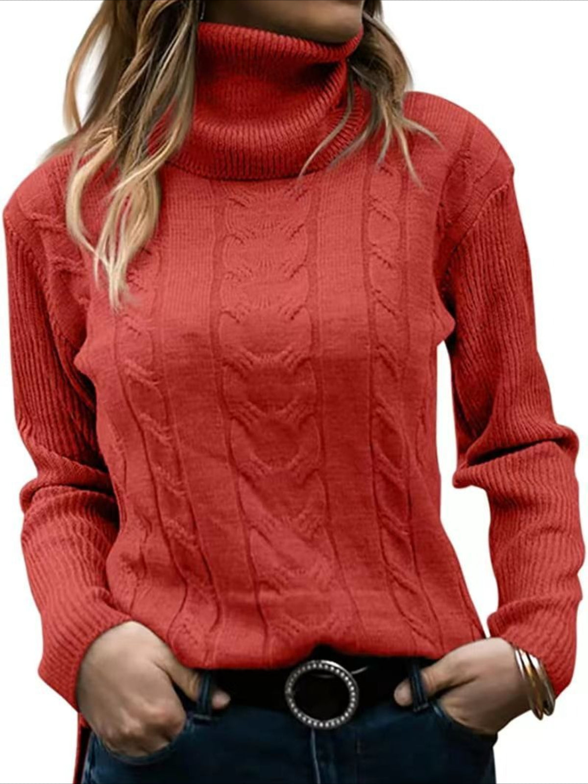 Turtleneck Casual Regular Fit Sweater