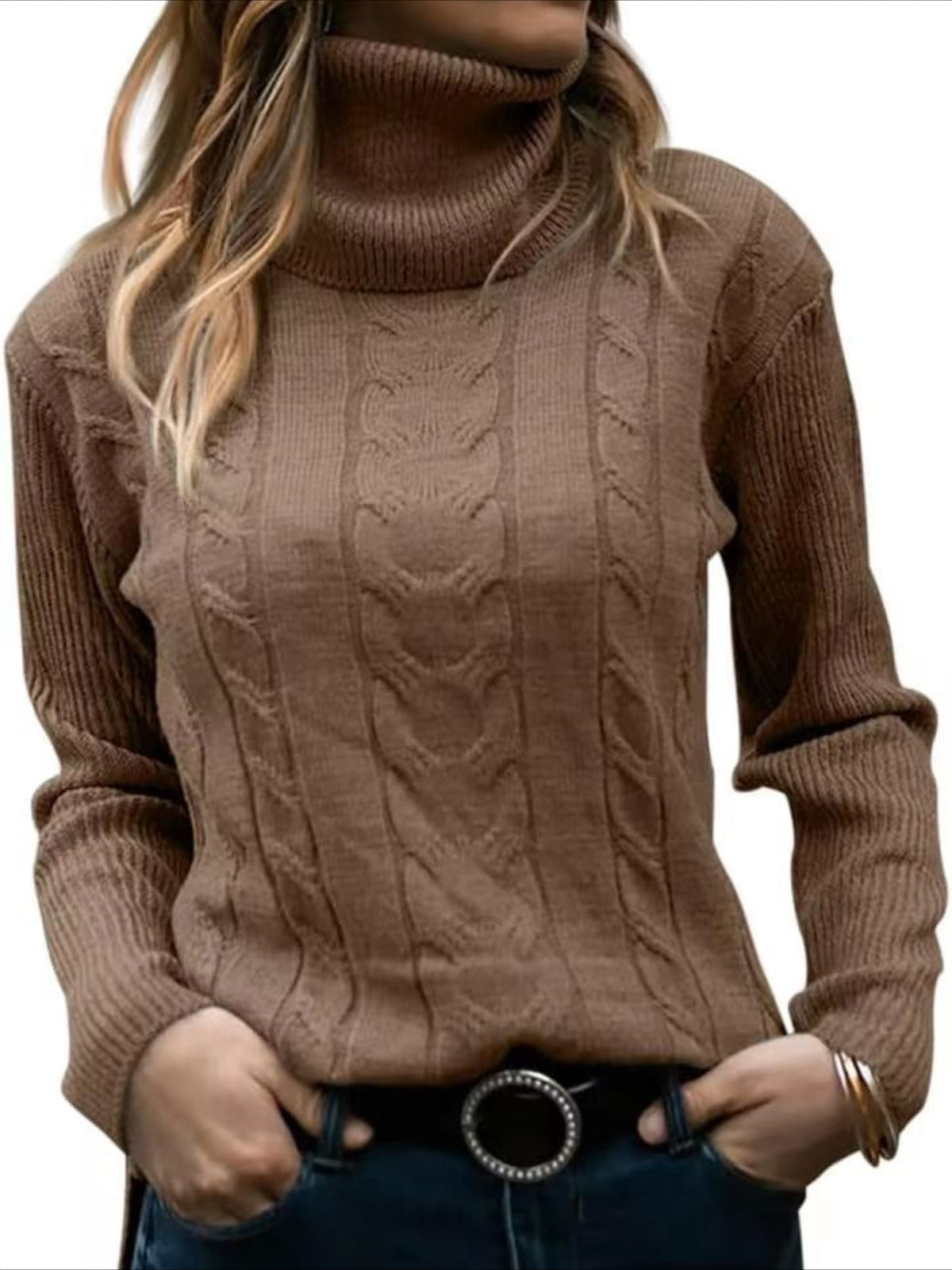 Turtleneck Casual Regular Fit Sweater
