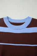 Sky Blue Stripe Striped Short Sleeve Round Neck Casual Knit Top
