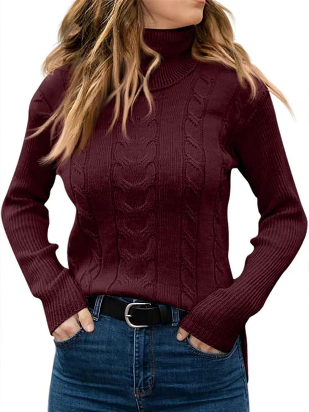 Turtleneck Casual Regular Fit Sweater